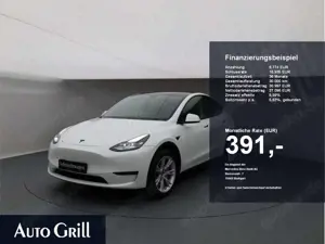 Tesla Model Y Dual AWD  Pano 4xSHZ HD Kamera