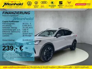 CUPRA Formentor 2.0 TSI DSG 4Drive Kamera, AHK, Side A