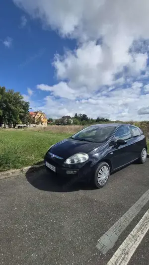 Fiat Punto 1.2 8V Classic Bild 2