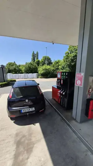 Fiat Punto 1.2 8V Classic Bild 3