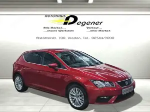 SEAT Leon / SommerWinter / wenig Km / viele Extras