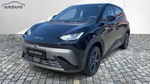 BYD Dolphin Boost Alarm Alu DAB Keyless Klima Nav