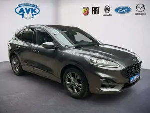 Ford Kuga ST-Line X mit AHK u. Winterpaket II