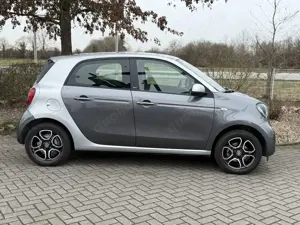 smart forFour Basis / Automatik / nur 10.050 Km / SZH Bild 2