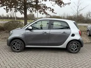 smart forFour Basis / Automatik / nur 10.050 Km / SZH Bild 4