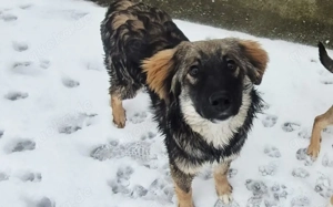 Hallo - hier kommt Benzko!