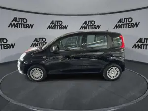 Fiat Panda Pandina 1.0 GSE Hybrid 48 kW Icon Bild 3