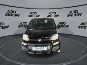 Fiat Panda Pandina 1.0 GSE Hybrid 48 kW Icon Bild 2