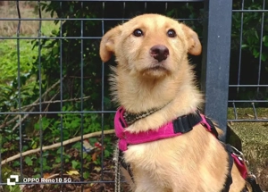 Für ALINA    soll endlich die Sonne scheinen