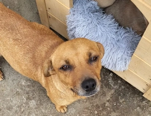 Jördis ca. 30 cm   Die kleine Mama