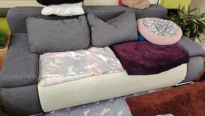 Sofa mit Schlaf funktion