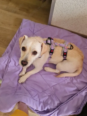 Alba 1 jahr in Deutschland 