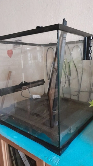 Terrarium zu verkaufen 