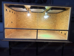 Terrarium, Holzterrarium, OSB-Terrarium 