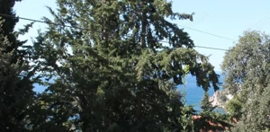 Erschlos. Baugrundstuck 910m2 Strand 700m Meerblick