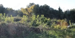 Erschlos. Baugrundstuck 910m2 Strand 700m Meerblick Bild 2