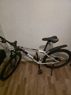 Mountainbike 28 Zoll LauxJack (Vankhel)