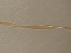 Er sucht Familie zum kuscheln 