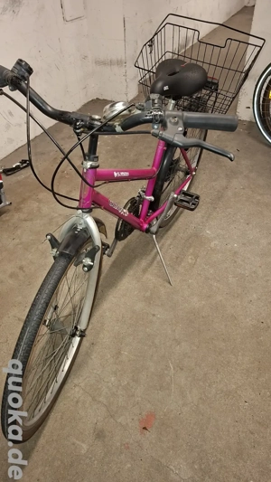 28" Alpinarad, 12 Gänge