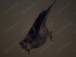 Er sucht Familie interessiert nach Erziehung 