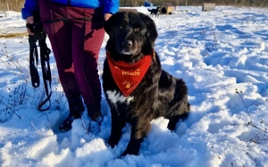 Wärme und Zuversicht für Nouri