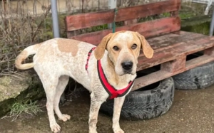 Ruhige und aufmerksame Florine