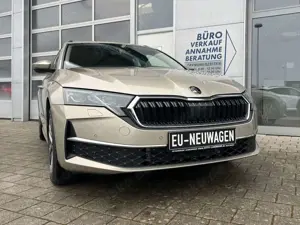 Skoda Octavia 1.5 TSI MHEV DSG Selection AHK 5J GAR