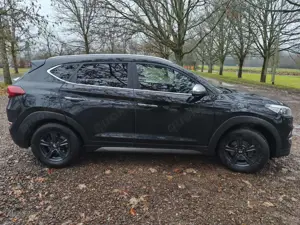 Hyundai TUCSON Premium 4WD,8fach,Shz,S-Lüftung,Leder, Bild 4