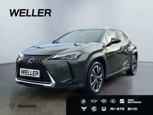 Lexus UX 250h Style Edition *Bi-LED*AHK*CAM*ACC*SHZ*PDC*