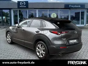 Mazda CX-30 Skyactiv-G 2.0 M Hybrid SELECTION DESIGN,- ACTIVES Bild 3