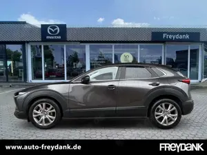 Mazda CX-30 Skyactiv-G 2.0 M Hybrid SELECTION DESIGN,- ACTIVES Bild 2