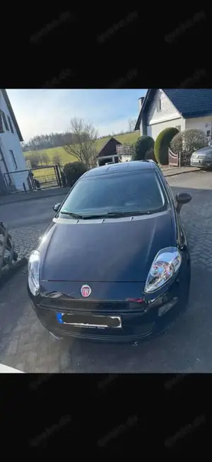 Fiat Punto Punto 1.2 8V Classic Bild 3
