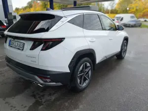 Hyundai TUCSON 1.6 T-GDi HEV 2WD Trend Bild 5