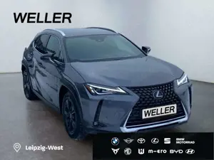 Lexus UX 250h Launch Edition *Bi-LED*HUD*CAM*SHZ*Navi* Bild 4