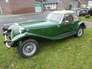 Panther Westwinds Kallista