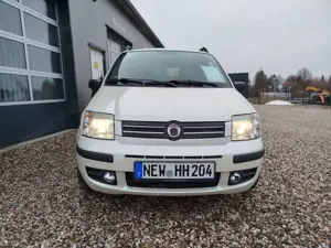 Fiat Panda Panda 1.2 Perlino! Perlmuttweiss! Leder! Bild 2