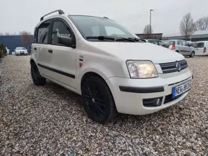 Fiat Panda Panda 1.2 Perlino! Perlmuttweiss! Leder! Bild 3
