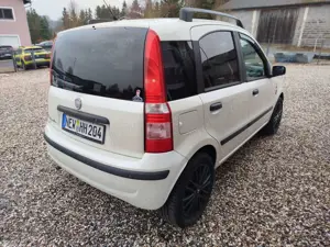 Fiat Panda Panda 1.2 Perlino! Perlmuttweiss! Leder! Bild 4