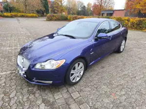 Jaguar XF XF Diesel 3.0 V6 Diesel Luxury
