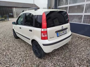Fiat Panda Panda 1.2 Perlino! Perlmuttweiss! Leder! Bild 5