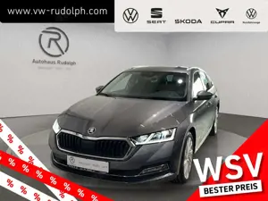 Skoda Octavia Combi 1.5 TSI e-TEC DSG Style / Navi LED RFK