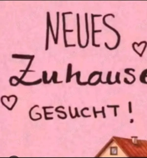 suche 1+2 Zimmer Wohnung in Helmstedt 