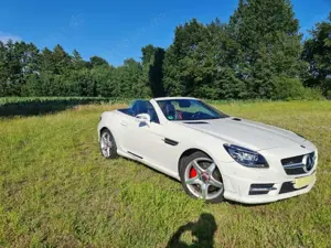 Mercedes-Benz SLK 250 AMG Line Bild 5