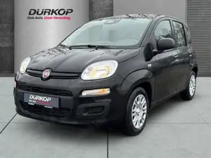 Fiat Panda (Pandina) Icon Hybrid Klimaanlage Parkpilot hinten