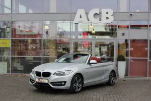 BMW 218 d Cabrio Sport Line Hifi Xenon Navi RFK