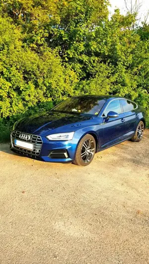 Audi A5 Sportback 2.0 TDI S tronic sport Bild 5