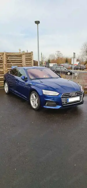 Audi A5 Sportback 2.0 TDI S tronic sport Bild 4