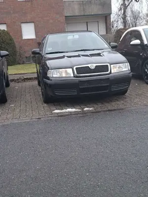 Skoda Fabia Scoda Octavia