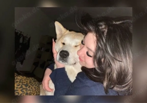 Olivia sucht ein Zuhause 