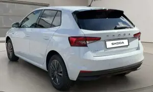 Skoda Fabia Tour 1.0 TSI 116PS DSG Fahrassi Winter Bild 3